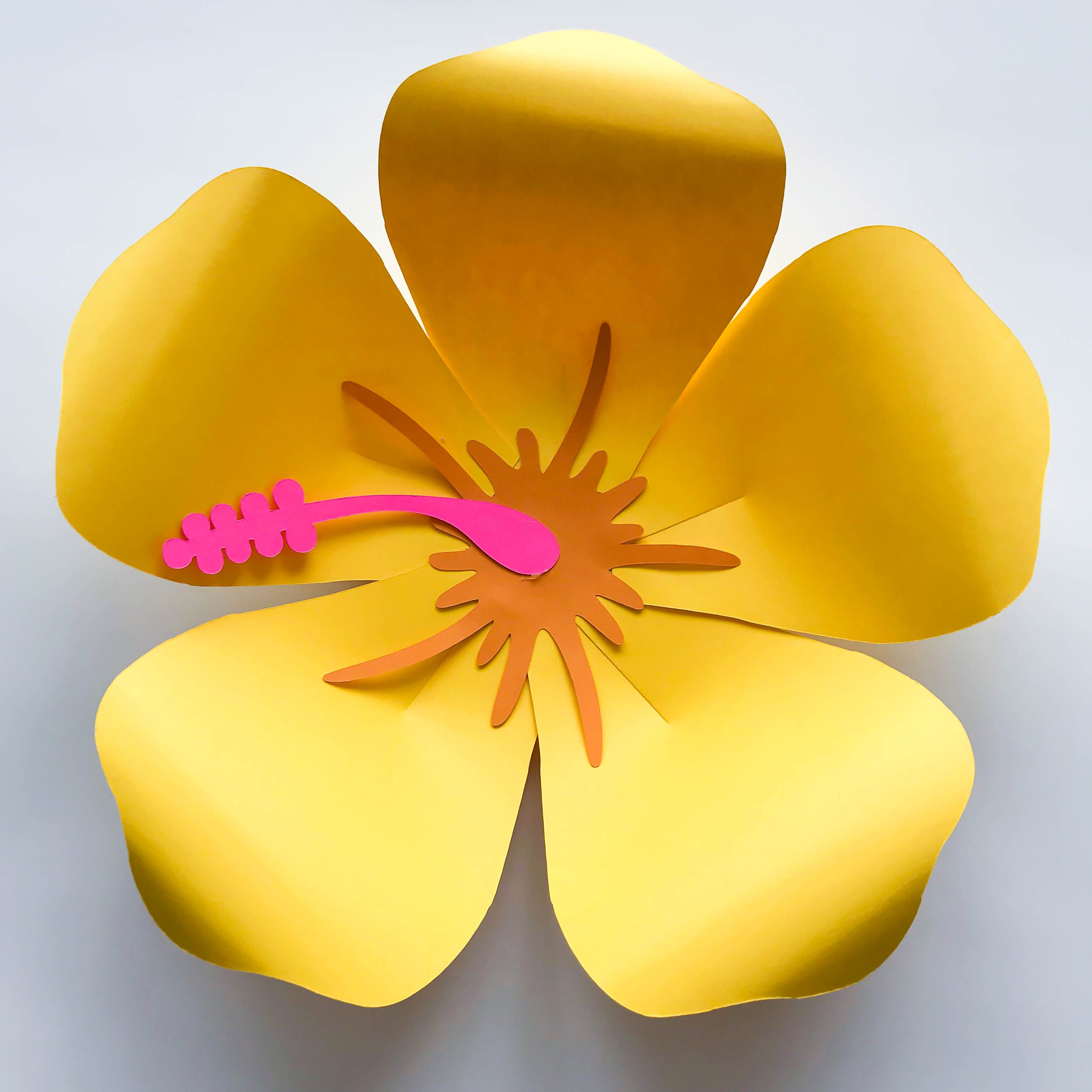 Paper Flowers SVG Petal 101 (Hibiscus) Paper Flower Template DIY