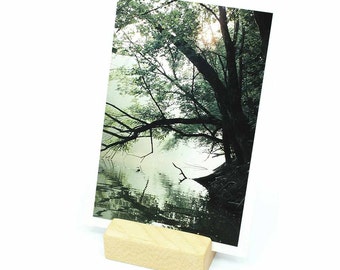 Photo Holder, Postcard Holder, Postcard Display, Photo Display, Picture Display, Keepsake Memory, Wood Business Card Holder
