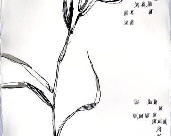 small ink drawing on handmade paper
