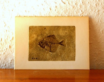 Old picture witnesses coral original refusing Hagbard hand relief fossil embossed steel engraving lettering Franz refuses