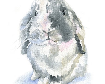 Gray Lop Rabbit Watercolor Painting - 11 x 14 - Giclee Print