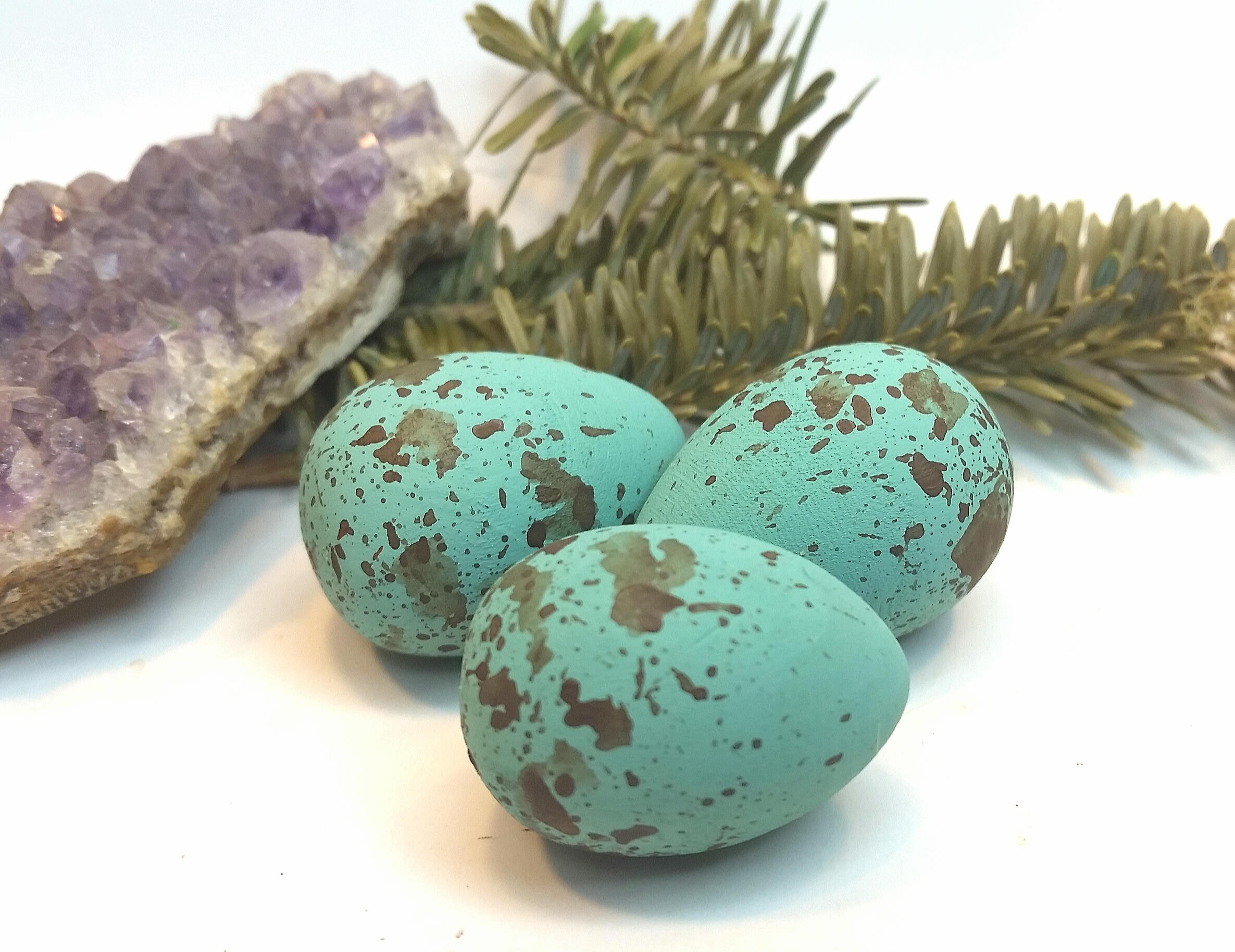Wooden Blue Jay Eggs for Science Education Natural History