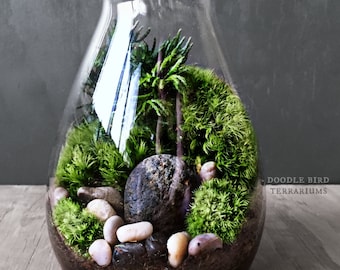 Carafe Moss Terrarium Gift Set - Live Houseplants Office Decor - Miniature Garden Under Glass