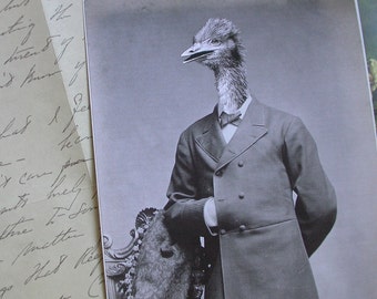 Oliver the Ostrich Man 5x7 Anthropomorphic print