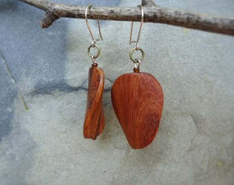 Bayong wood simple earrings