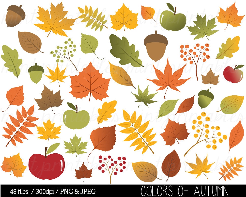 Autumn Leaf Clipart Fall Leaves Clip Art Thanksgiving