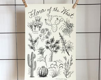 Flora of the West - 11 x 17 archival print made from original hand drawing