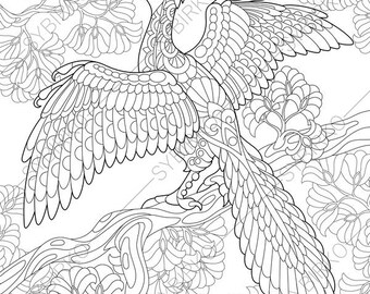 Archeopteryx Dinosaur Dino Coloring Pages Animal Book For Adults Instant Download Print