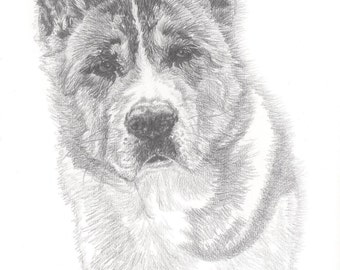 Akita drawing | Etsy