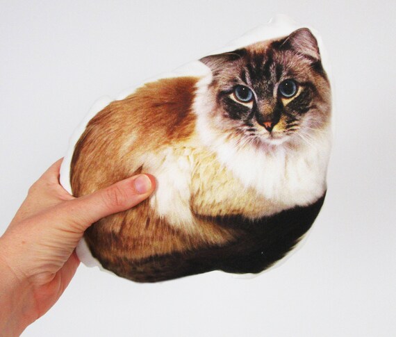 Small custom pet pillow 11.5'' size Custom photo