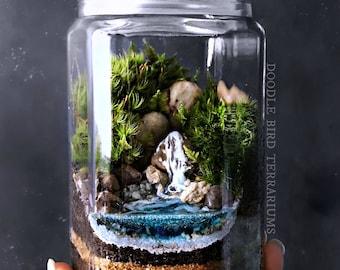 Waterfall Terrarium with Live Moss Plants in Hex Glass Jar
