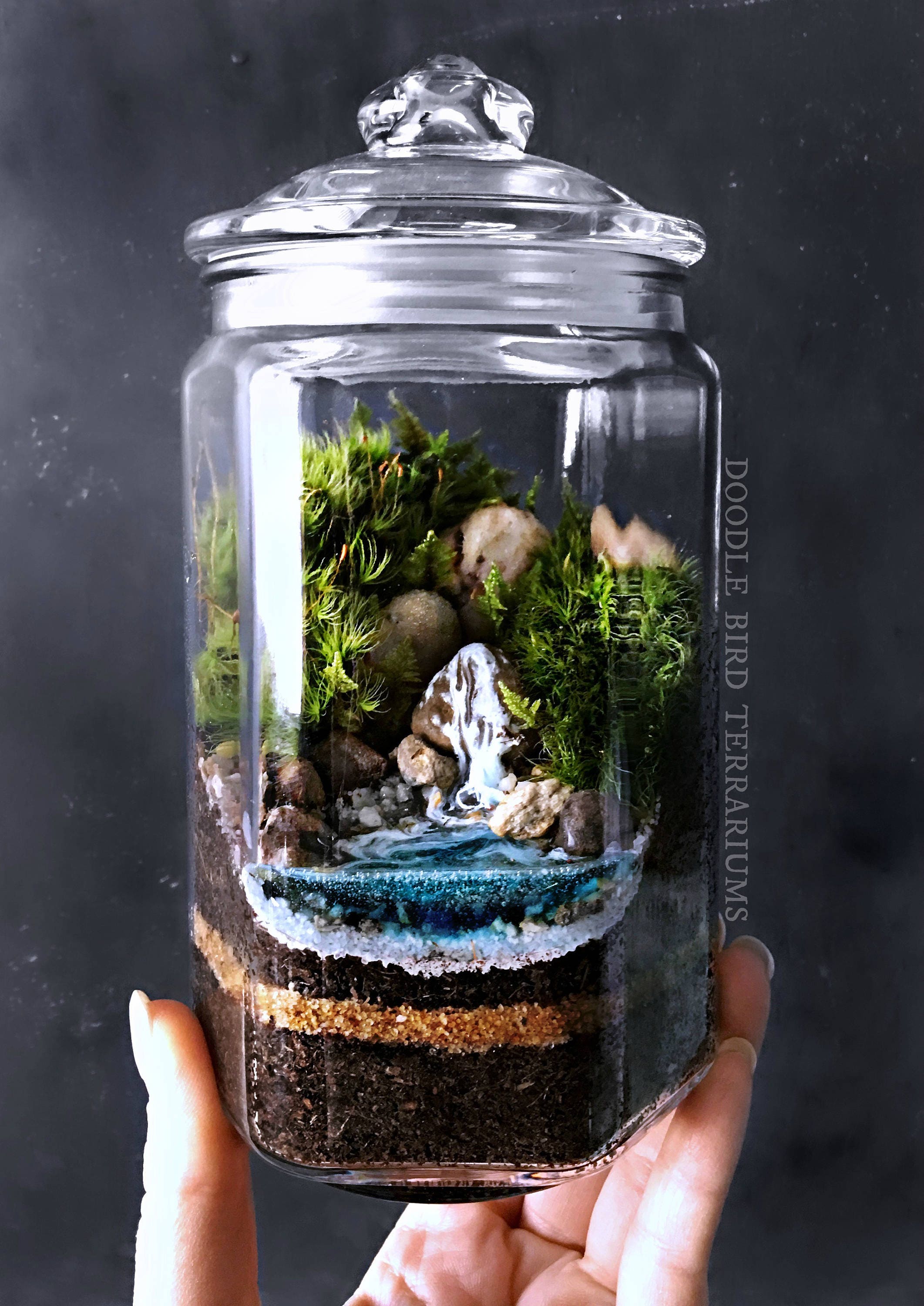Waterfall Terrarium with Live Moss Plants in Hex Glass Jar from DoodleBirdie on Etsy Studio