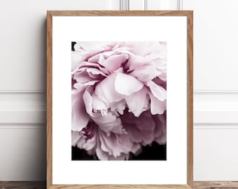 Peony Print Printable Photography Download