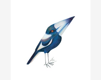 Australian Magpie Bird Print A5