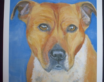 STAFFORDSHIRE BULL TERRIER 'staffy' A4 giclee print from an original acrylic artwork by Sara Tuckey
