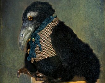 Raven black raven toy crow animal raven animal decor bird Interior doll black raven doll