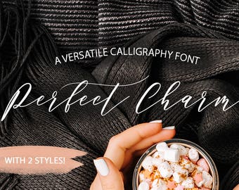 Perfect Charm Elegant Calligraphy Font. Swash font. Long swashes. Modern calligraphy font wedding font. Ligatures font. Bloggers font