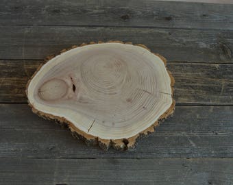 Large Elm Tree Slice- Wall Hanging, Candle Stand, Centerpiece, Large Wood Slice, Cake Stand (WS6032)