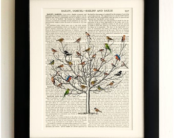 FRAMED ART PRINT on old antique book page - Short tree with Birds, Vintage Upcycled Wall Art Print Encyclopaedia Dictionary Page