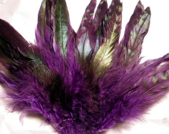 Purple Chinchilla Strung Schlappen Feathers 6 to 8 inches SCHCD 19