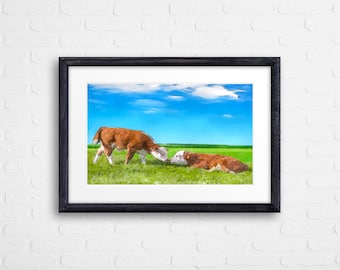 cow art gift Hereford calf bull cattle ranch farm painting pen&ink watercolor print
