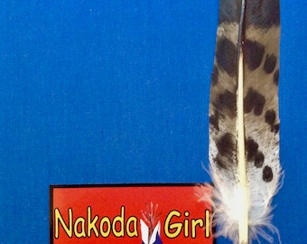 Native American *Nakoda Made* Hand Painted Replica COOPERS HAWK Feather