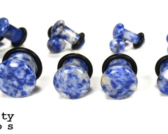 Blue Lapis Single Flare Plugs