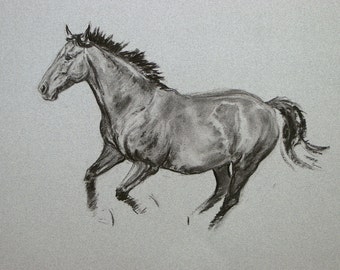 SALE Original horse art equine art energy and movement equine horse charcoal movement art drawing 'Well to do' by H Irvine