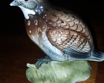 Stafford bird collection