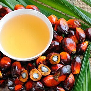 28 lbs Palm Oil, Soapmaking, Soap Supplies, Soap Making, Soap Making Kit, Soap Making Supply, Essential Oil, Soap Oils, Natural Oils, Soap
