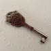 Skeleton key with advertising. Ornate, MEMA 1879, authentic German / european nickel keys, shabby chic, rusty key, altered art, steampunk