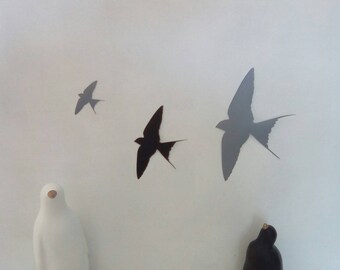 Stickers swallows bi - colored black and grey