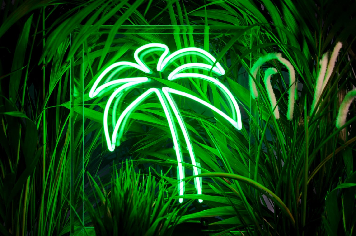 Palm Tree neon light Freestanding neon sign