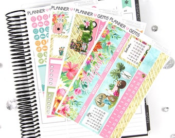 Paradise August Monthly View Planner Kit | ~200 Stickers | Planner Stickers | For Erin Condren LifePlanner