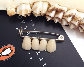 Human tooth incisor brooch