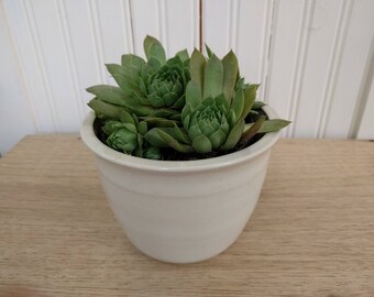 Handmade White Ceramic Planter