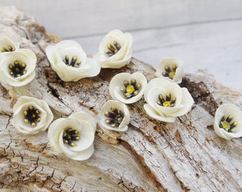 11 white begonias, (set no. 3)