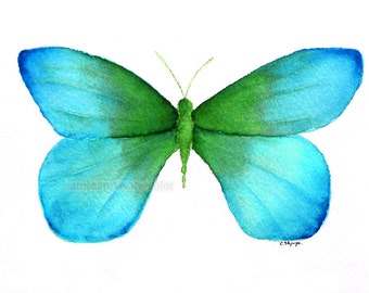 watercolor painting blue green butterfly archival print