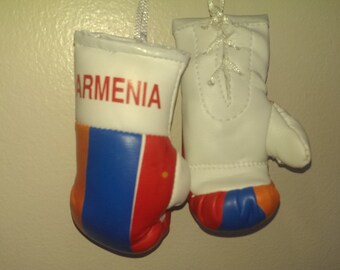Armenia Flag Mini Boxing gloves Novelties, Souvenir, Cars, Trucks Bus, Jeeps, SUV's RV's etc, Rear-View Mirror