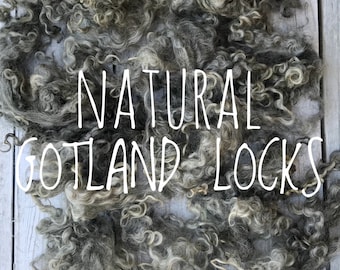 English natural grey Gotland lamb locks - soft, silky and curly. Beautiful fleece. Felting & spinning wool locks