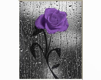 black white purple bathroom decor purple rose flower purple home decor matted picture