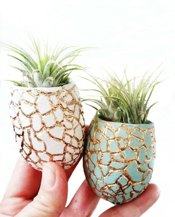 Concrete Planter/Modern Planter/Mini Planter/Pineapple Planter/Indoor Planter/Succulent planter/Pineapple decor/pineapple/Air plant/planter