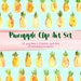 Pineapple Party Watercolor Blog Design Resource PNG PSD, Instant Download, Summer Invitation Clipart