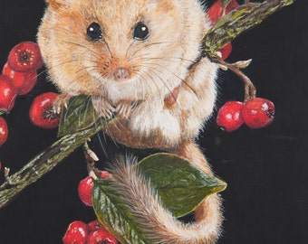Dormouse Large Giclee print
