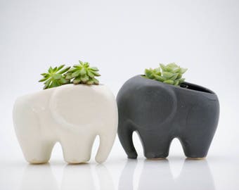 Elephant planter for succulents, ceramic planters, Mothers day gift, elephant decor, Gifts for mom, desk plants, housewarming gift
