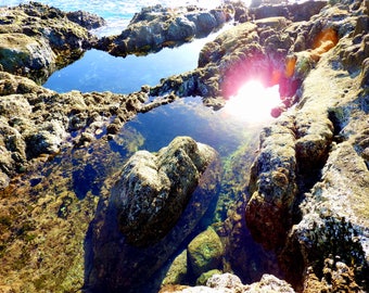 Nature Photography Coastal tide pools photo print