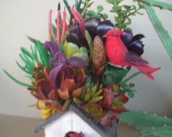 Succulent Plants Birdhouse Color Explosion arrangement