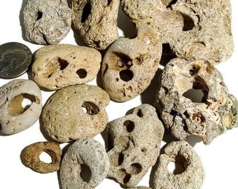 Hag Stones (SMALL) -hand collected, beach stones, healing stone, beach rocks, odin stone, adder stone, fairy stone, pebble art, alter stone