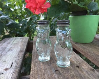 Glass Owl Salt and Pepper Shakers