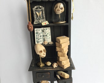 1/12th scale Curiosity Cabinet